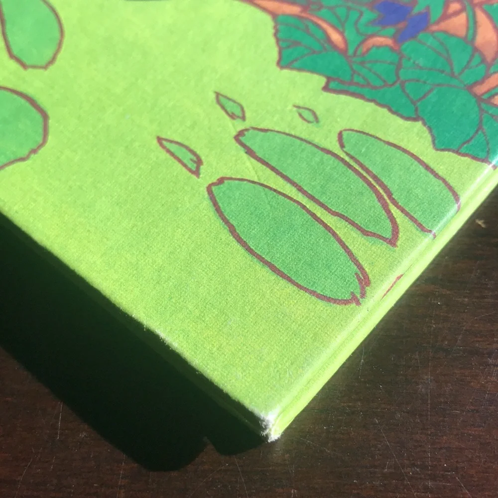 Walt Disney Hiawatha’s Bear Hunt Hardcover Wonderful World of Reading Series